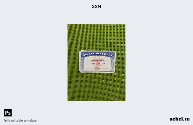 цифровая загрузка США SSN фотоизображение зеленый фон шаблон ПЕРЕДНЯЯ сторона